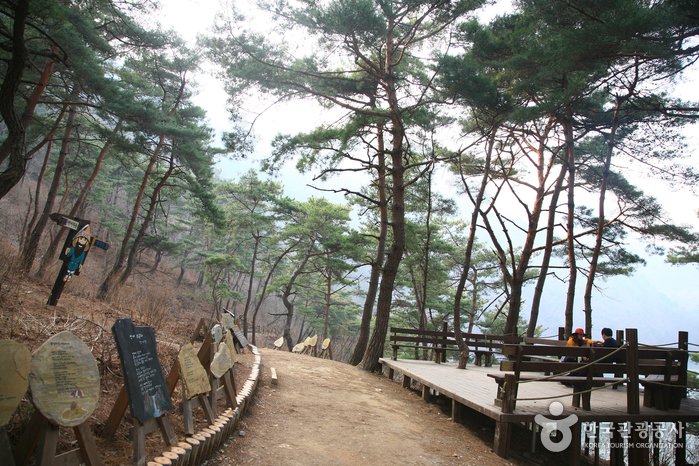 [忠清北道] 山幕古道(산막이옛길)