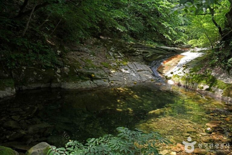 [忠清南道] 東鶴寺溪谷(동학사계곡)