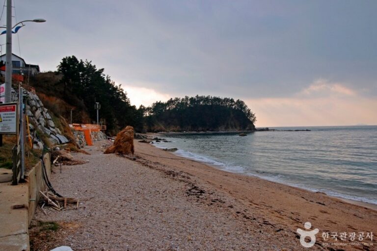 [忠清南道] 波濤里海水浴場(파도리해수욕장)