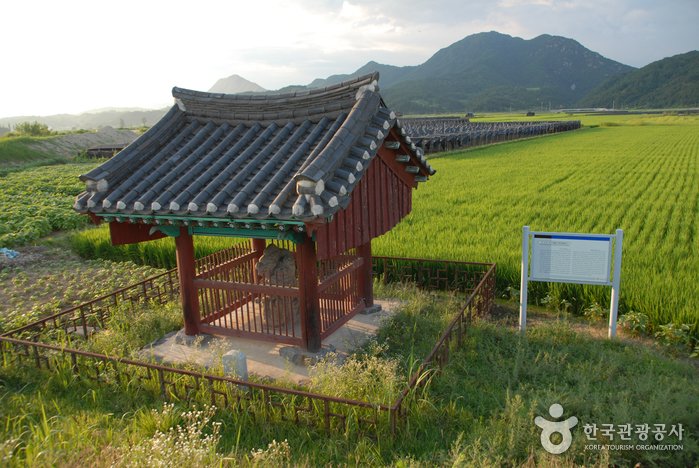 [忠清南道] 錦山川內里龍虎石(금산 천내리 용호석)