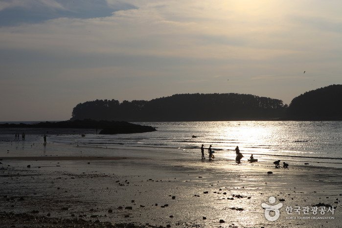 [忠清南道] 武昌浦海水浴場(무창포해수욕장)