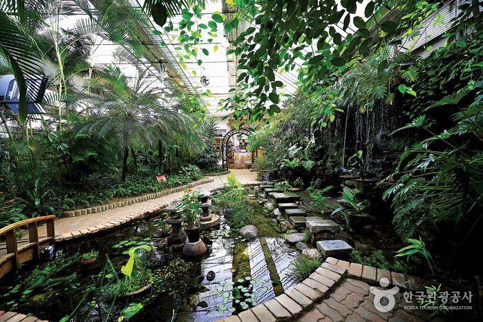 [忠清南道] 天空水光庭園(하늘물빛정원)
