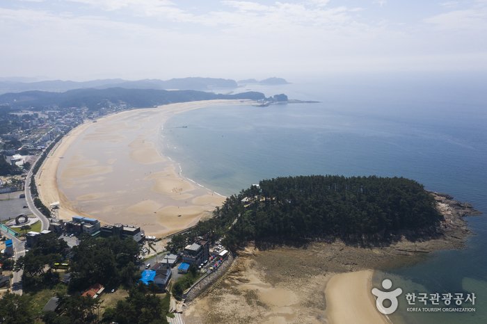 [忠清南道] 萬里浦海水浴場(만리포해수욕장)