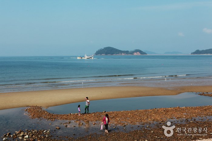[忠清南道] 安眠島(안면도)