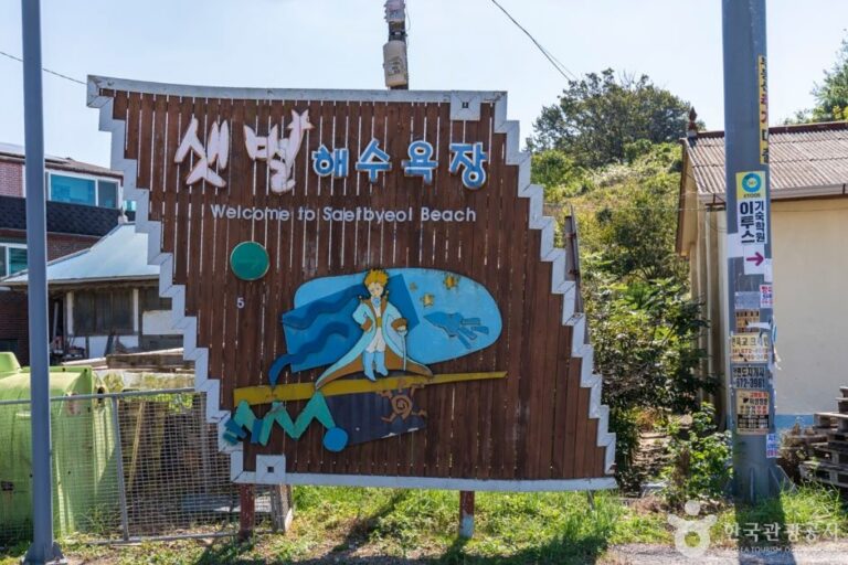 [忠清南道] 新星海水浴場(샛별해수욕장)