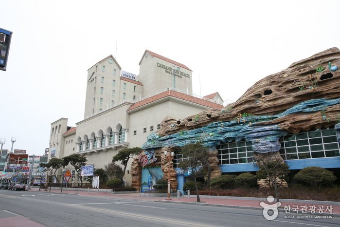 [忠清南道] JFK大川水上樂園(JFK 대천 워터파크)