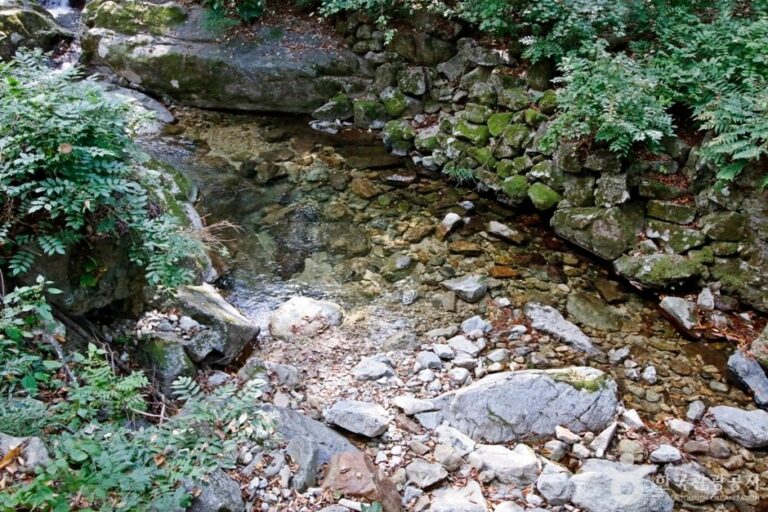 [忠清南道] 甲寺溪谷(갑사계곡)
