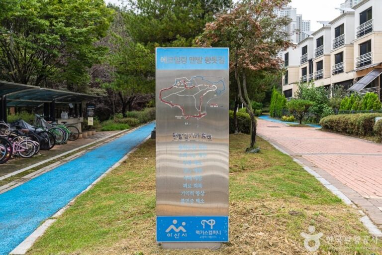 [忠清南道] 生態療癒黃土小路(에코힐링 황톳길)