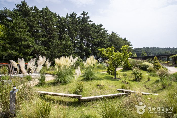 [忠清南道] 千里浦樹木園(천리포수목원)