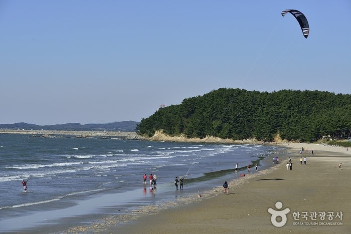 [忠清南道] 春長臺海水浴場(춘장대해수욕장)