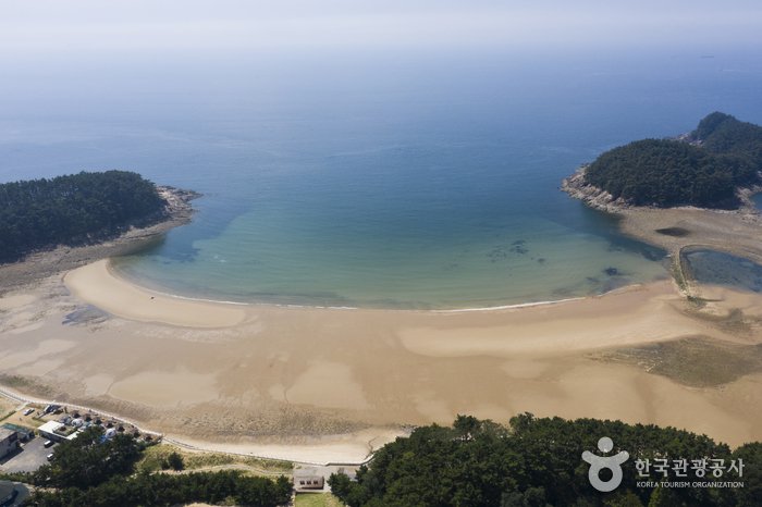 [忠清南道] 千里浦海水浴場(천리포해수욕장)