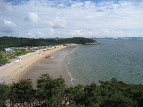 [忠清南道] 蘭芝島海水浴場(난지섬해수욕장)