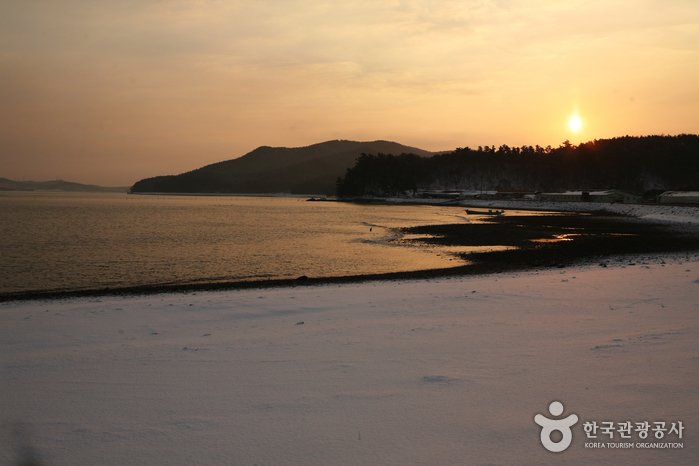 [忠清南道] 淺水灣(候鳥遷徙地)(천수만(철새도래지))