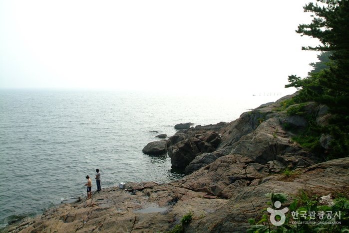 [忠清南道] 竹島(保寧)(죽도(보령))