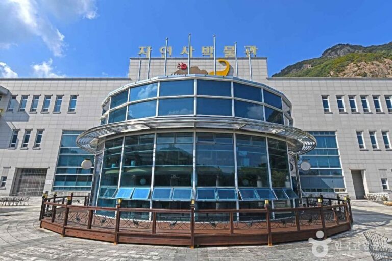 [忠清南道] 韓國自然史博物館(한국자연사박물관)