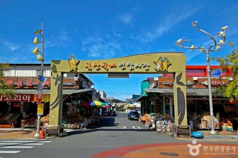 [忠清南道] 錦山人蔘藥令市場(금산인삼약령시장)