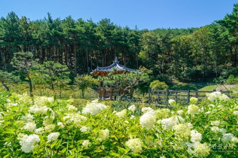 [慶尚北道] 雲梯山森林浴場(운제산산림욕장)