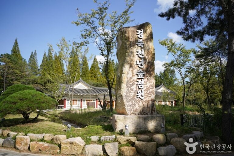 [慶尚北道] 慶北千年森林庭園(경북천년숲정원)