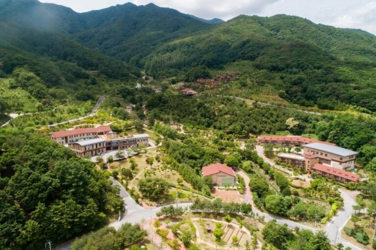 [慶尚北道] 國立山林治癒院 (국립산림치유원)