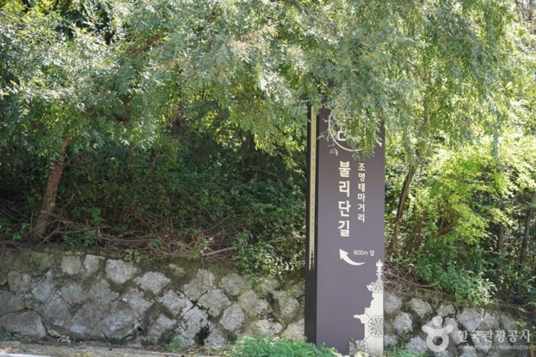 [慶尚北道] 佛理團路(불리단길)