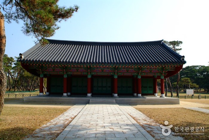 [慶尚北道] 慶州五陵(경주 오릉)