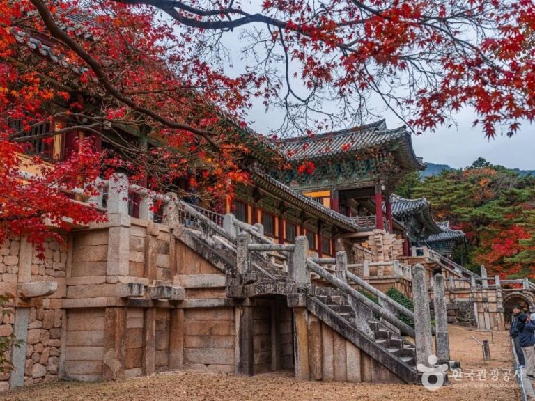 [慶尚北道] 佛國寺[UNESCO世界遺產](경주 불국사 [유네스코 세계유산])