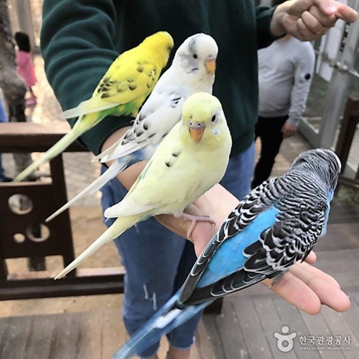 [慶尚北道] 慶州鳥園(경주 버드파크)