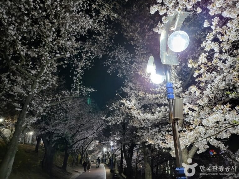 [慶尚北道] 普門湖(보문호)