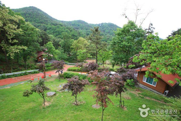 [慶尚北道] 漆谷松亭自然休養林(칠곡 송정자연휴양림)