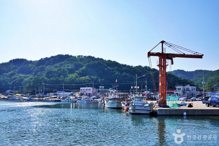 [慶尚北道] 景汀村(車踰漁村體驗村)(경정마을(차유어촌체험마을))