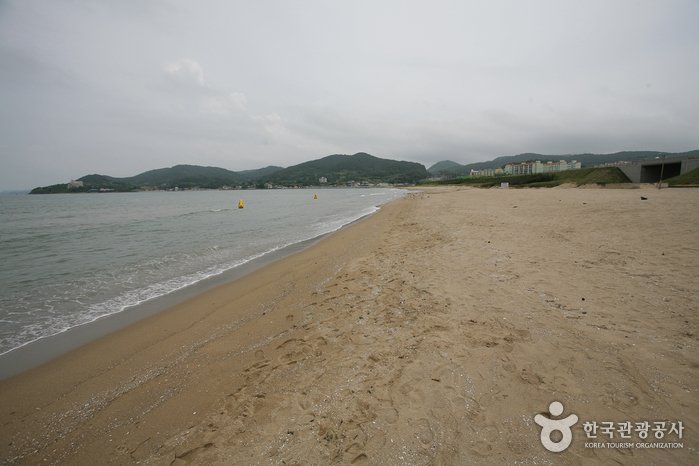 [慶尚北道] 都丘海水浴場(도구 해수욕장)