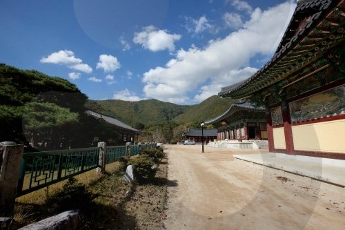 [慶尚北道] 雲門寺(운문사)
