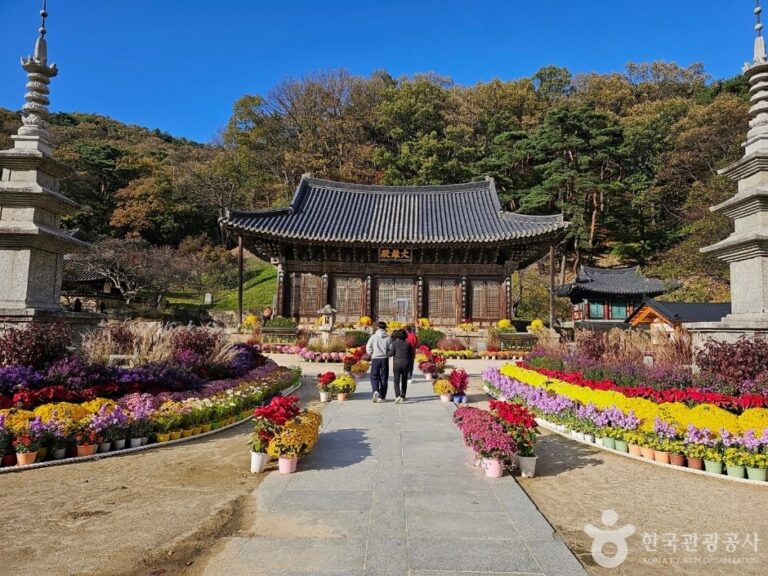[慶尚北道] 直指寺(직지사)