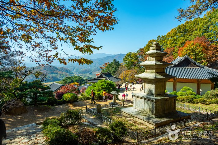[慶尚北道] 浮石寺[UNESCO世界文化遺產](부석사[유네스코 세계문화유산])