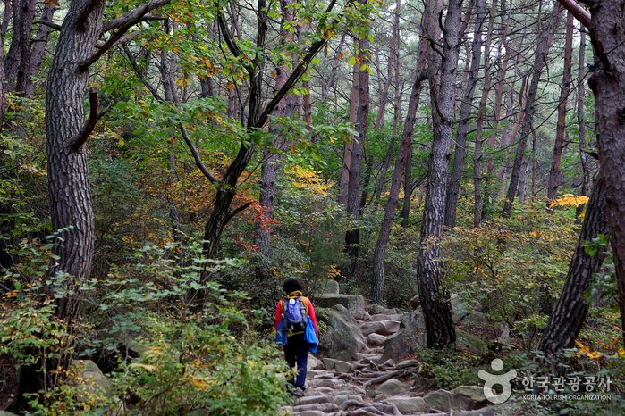 [慶尚北道] 慶州南山(경주 남산)