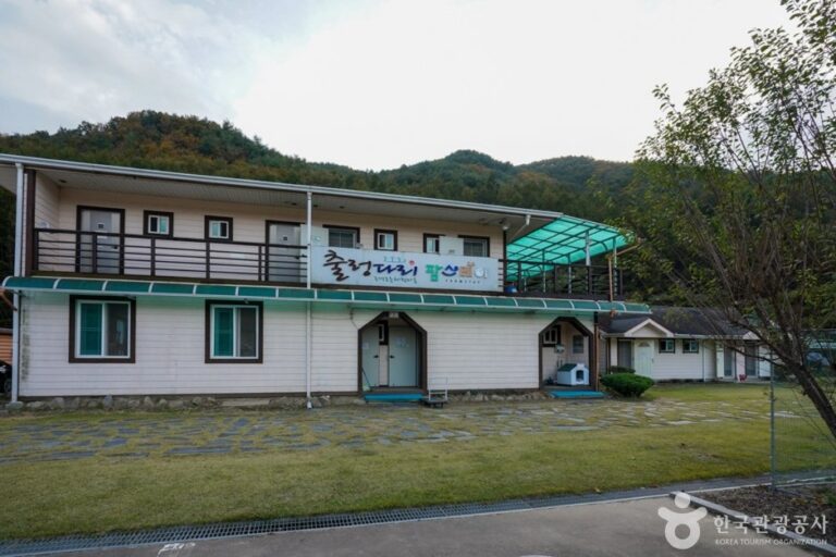 [慶尚北道] 醴泉吊橋村(예천 출렁다리마을)