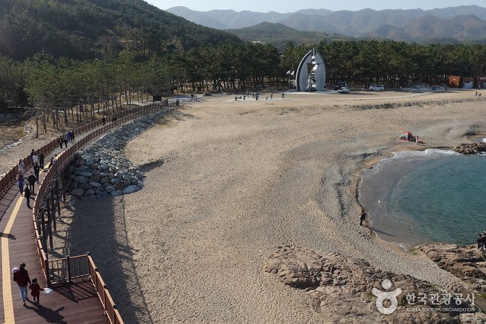 [慶尚北道] 長沙海水浴場(장사해수욕장)