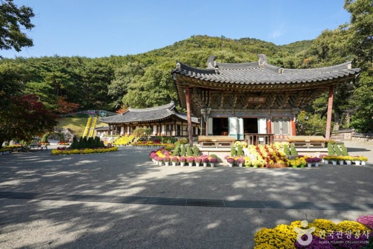 [慶尚北道] 桃李寺(龜尾)(도리사(구미))