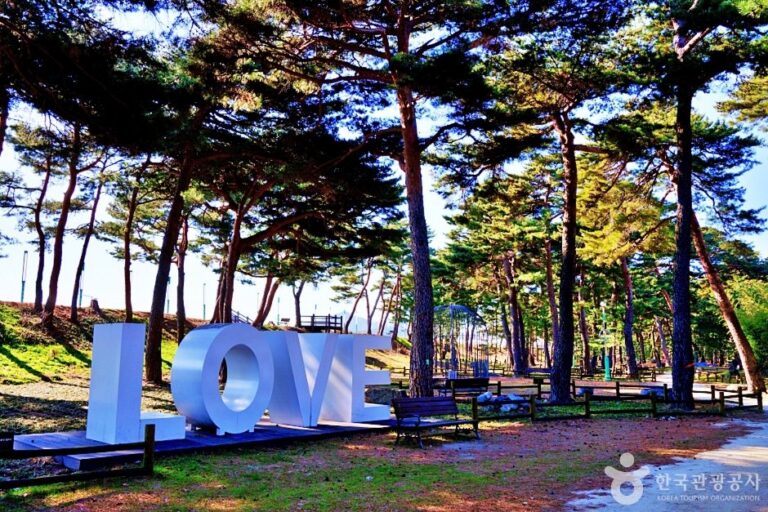 [慶尚北道] 蔚珍王避川公園(울진 왕피천 공원)
