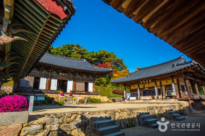 [慶尚北道] 鳳停寺[UNESCO世界文化遺產](봉정사[유네스코 세계문화유산])
