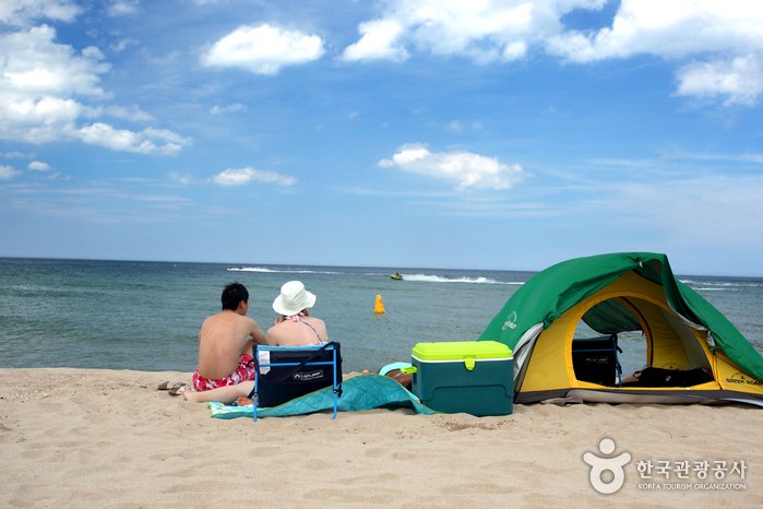 [慶尚北道] 大津海水浴場(대진해수욕장)