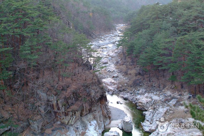 [慶尚北道] 佛影溪谷(慶尚北道東海岸國家地質公園)(불영계곡 (경북 동해안 국가지질공원))