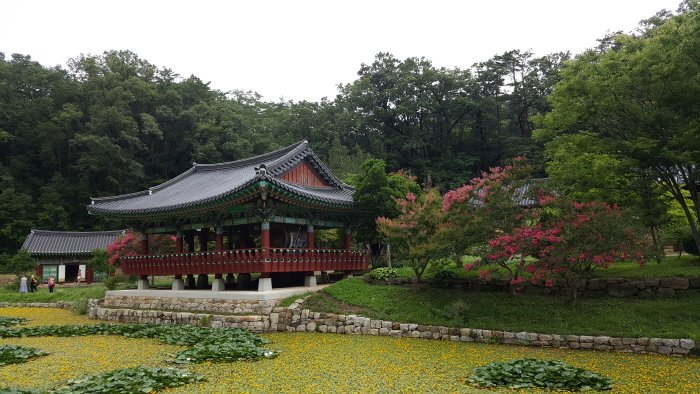 [慶尚北道] 佛影寺(蔚珍)(불영사(울진))