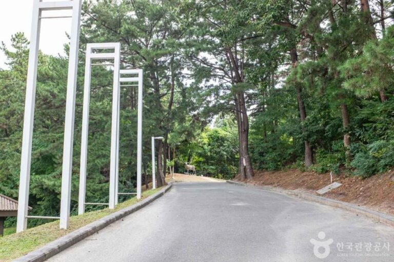 [慶尚北道] 浦項市立美術館(포항시립미술관)