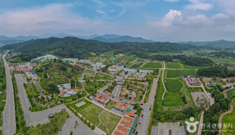 [慶尚北道] 蠶絲昆蟲事業場(잠사곤충사업장)