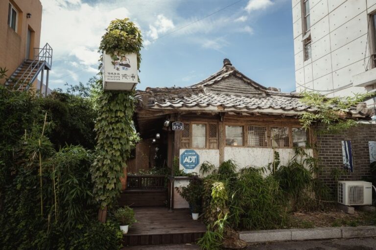 [慶尚北道] 陵浦茶苑(능포다원)
