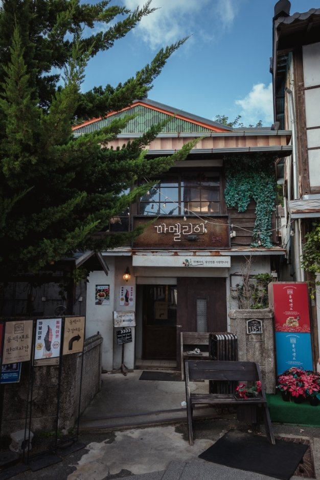 [慶尚北道] 山茶花酒館(까멜리아인구룡포)