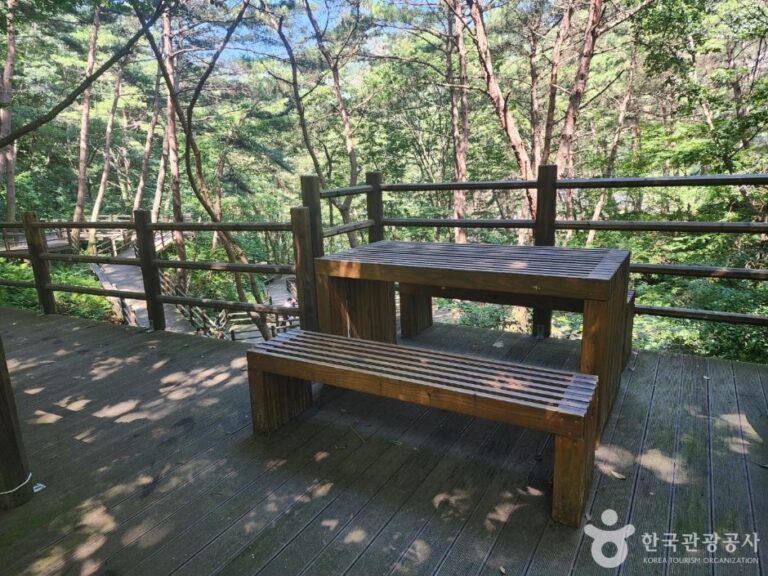 [慶尚南道] 居昌抗衰老療癒樂園 (거창 항노화힐링랜드)