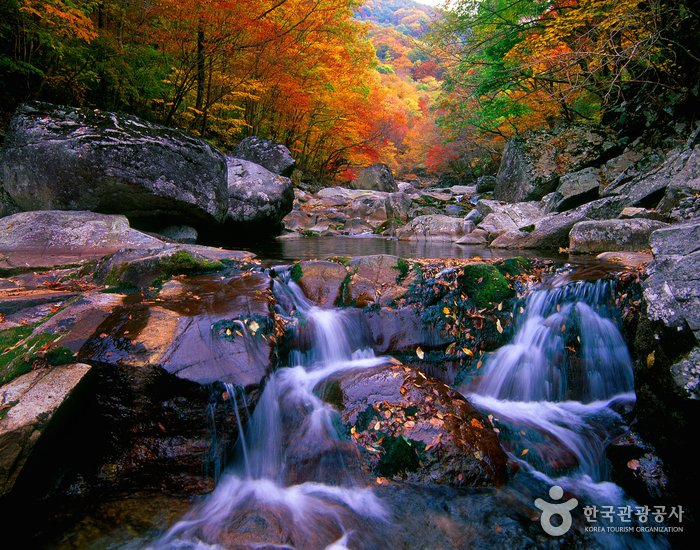 [慶尚南道] 智異山國立公園(山清)(지리산국립공원(산청))