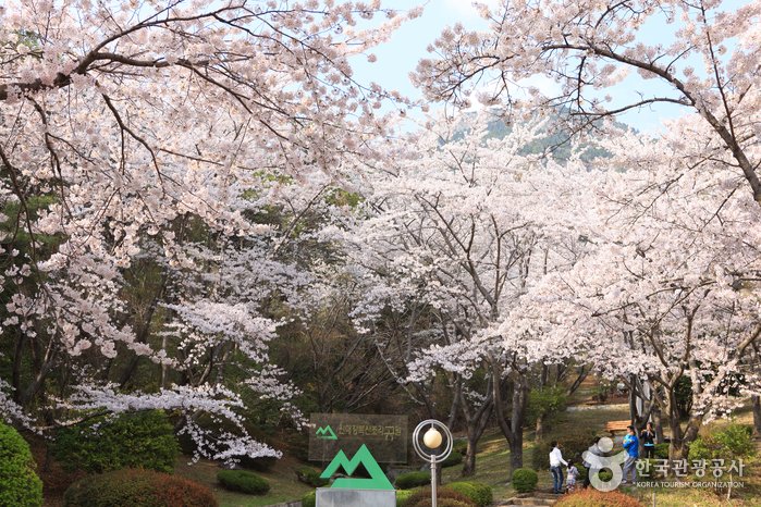 [慶尚南道] 長福山雕刻公園(장복산조각공원)